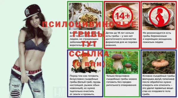 индика Верхний Тагил