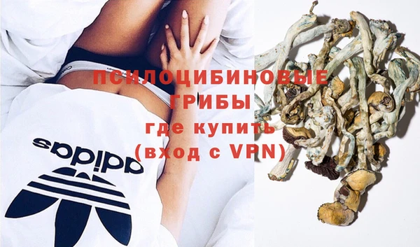 индика Верхний Тагил